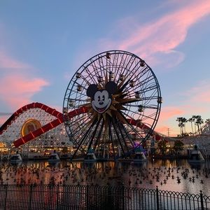 Meet your Posher, Jenny!